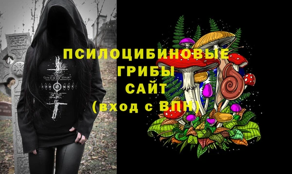 ешки Алексеевка