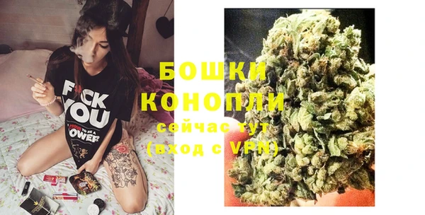 гидра Осташков
