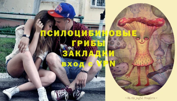 кокс Алексин